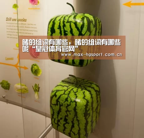 睹的组词有哪些,睹的组词有哪些呢“皇冠体育官网”(图4) 皇冠体育