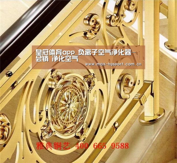 皇冠体育app_负离子空气净化器-会销 净化空气(图3) 皇冠体育