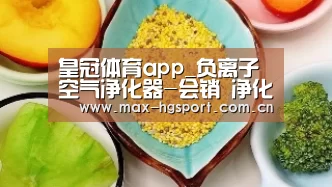 皇冠体育app_负离子空气净化器-会销 净化空气(图4) 皇冠体育