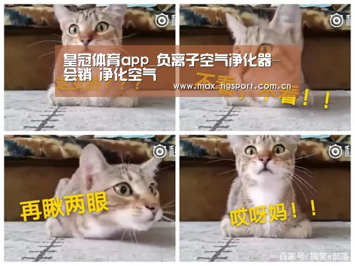 皇冠体育app_负离子空气净化器-会销 净化空气(图1) 皇冠体育app